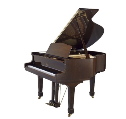 เปียโนคลาสสิค Piano CLASSIC GPX-152